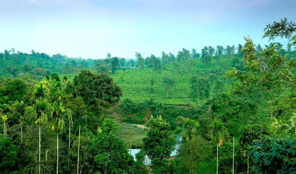 Mountain Wings Resort Vythiri India