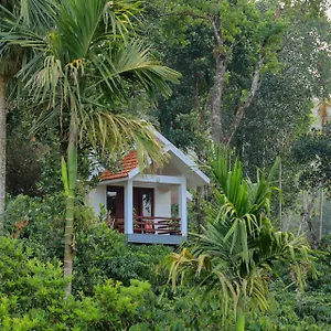 Dhanagiri Wayanad Homestay